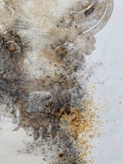 TWO HEADS  American Bison Series