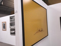 Dan Busta, Phoenix, Photograph, C-Print