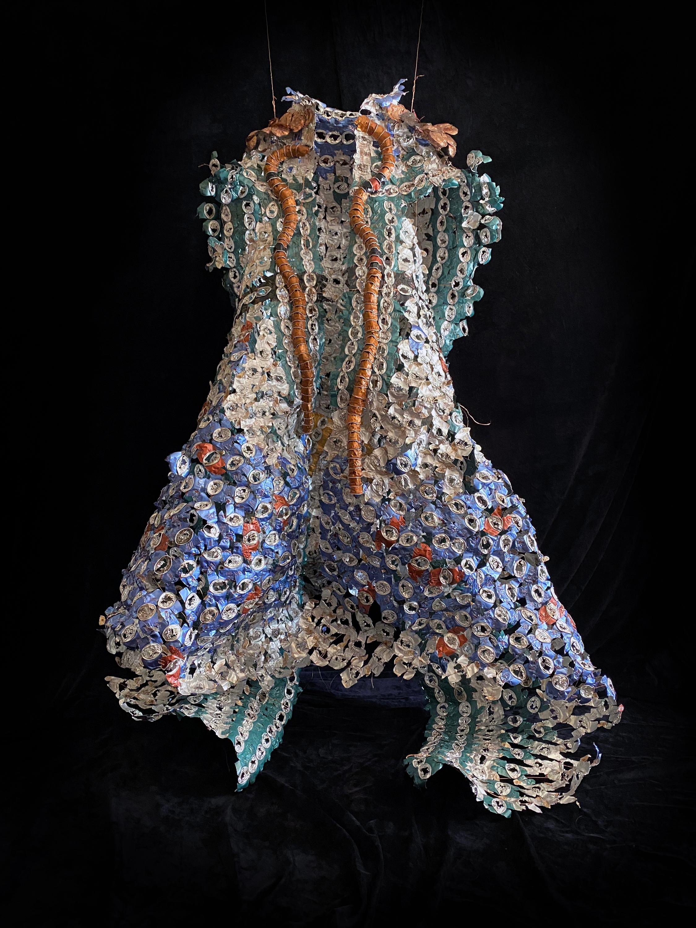 Sharp garments for desperate shamans: carapace - Mixed Media Art by Sandra Lapage