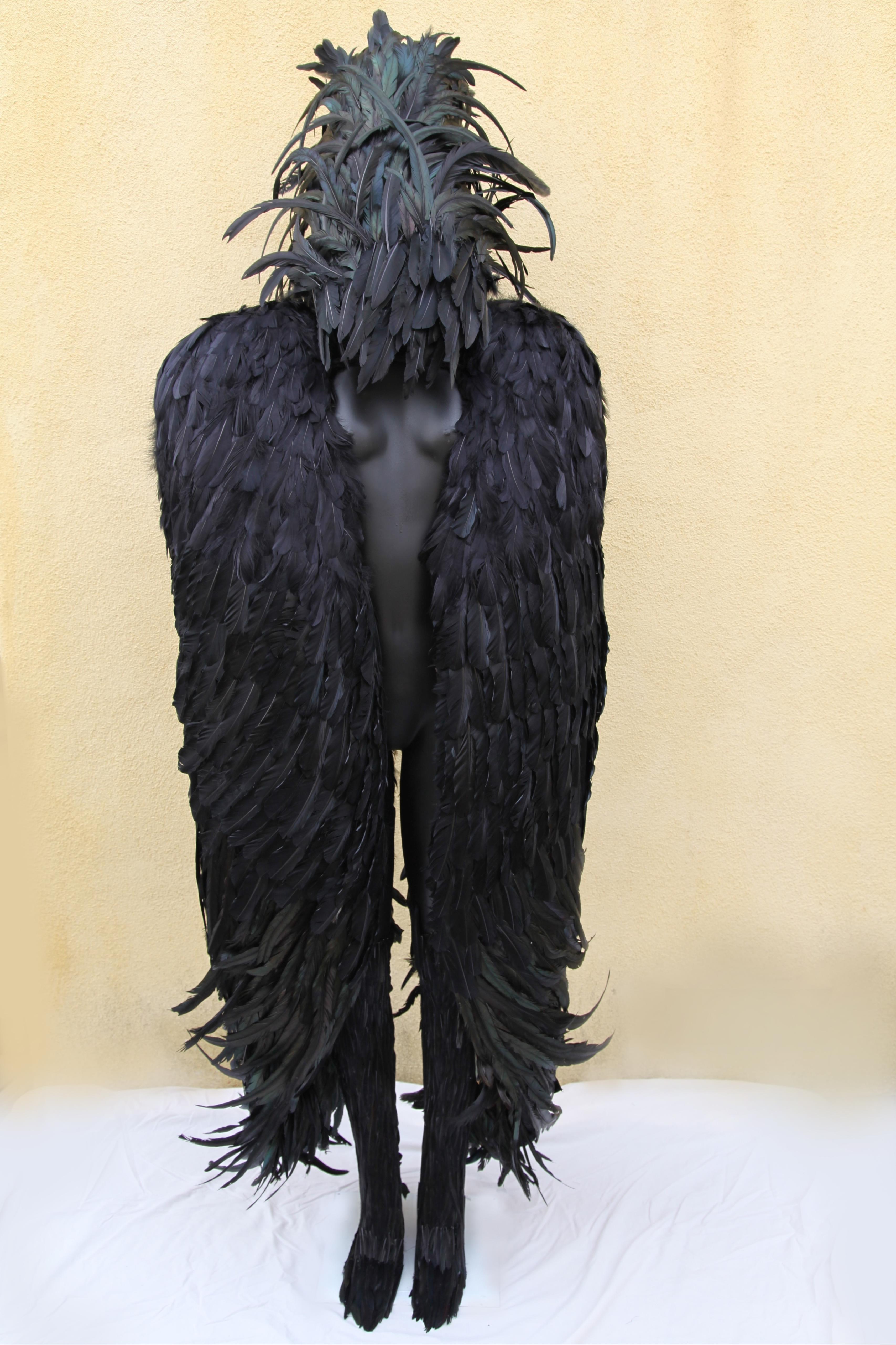 Feathers (wings and helmet) - Sculpture by Melissa Meier