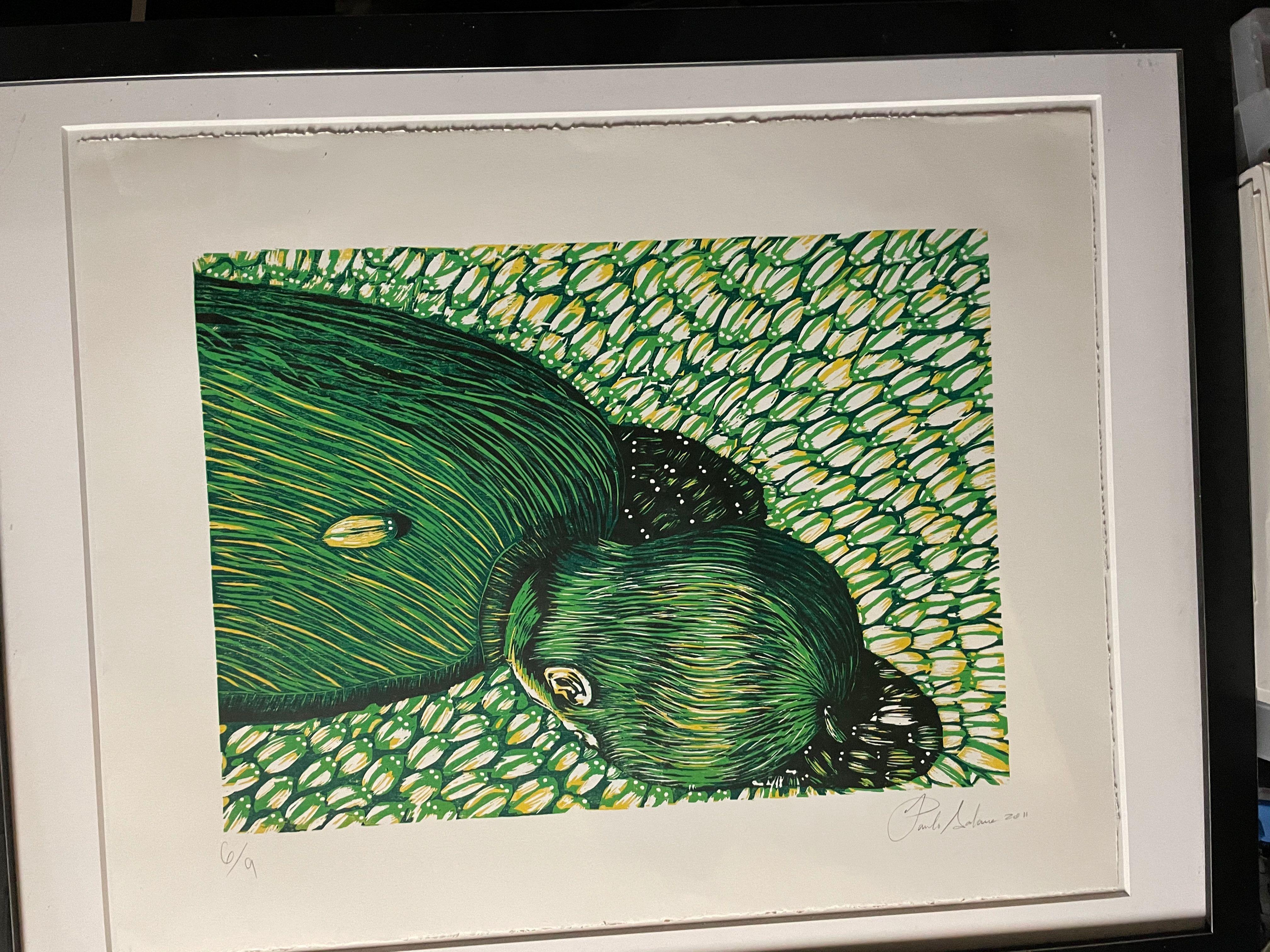 Desconocido - Print de Paulo Solano