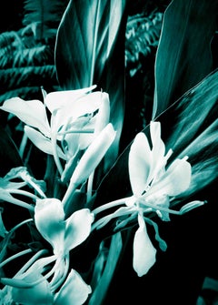 Blue Ginger Bouquet