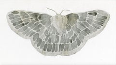 Emerald Moth (Cut Out)