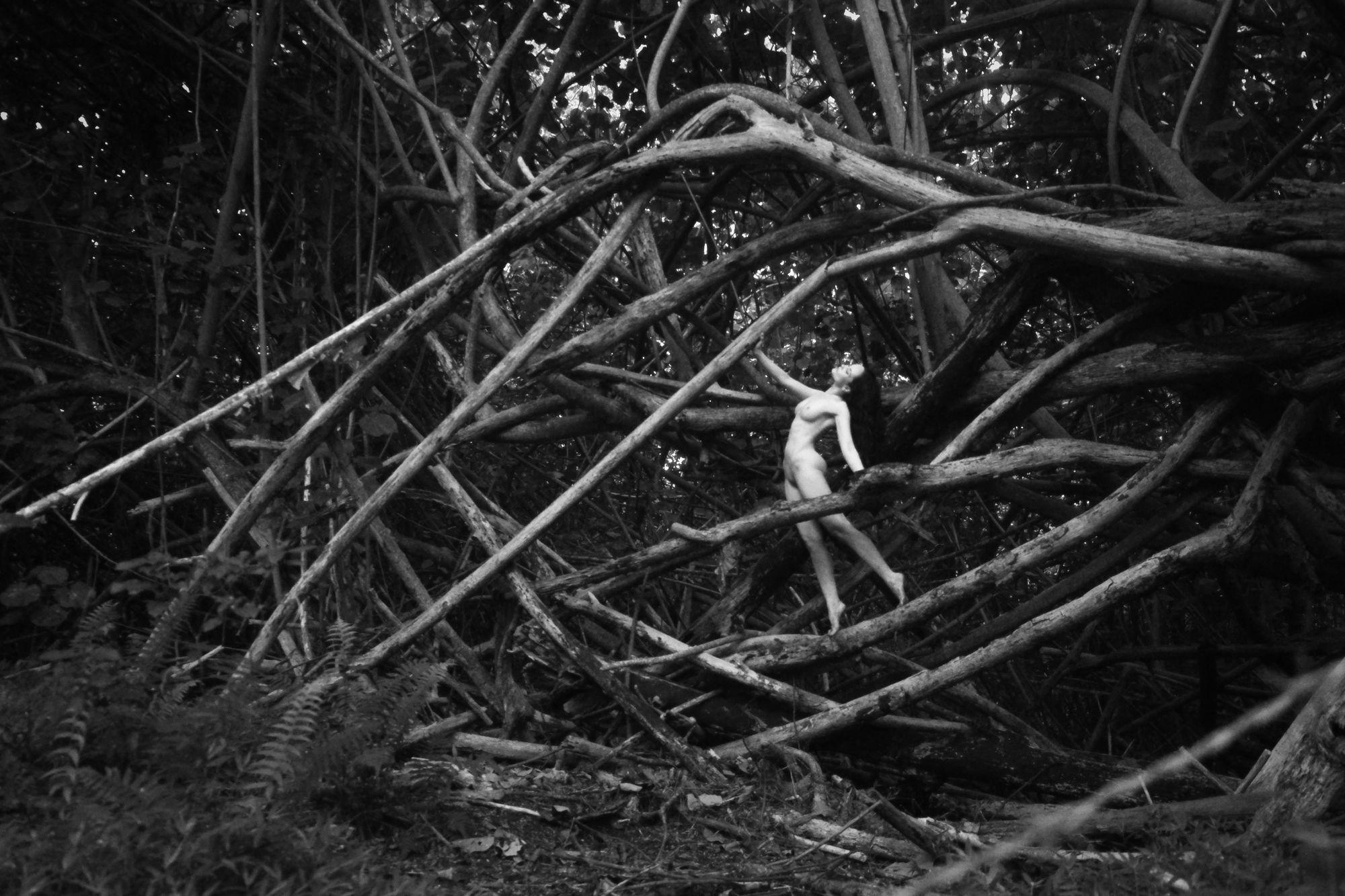 Zoe Wiseman Nude Photograph - Anne, Kauai