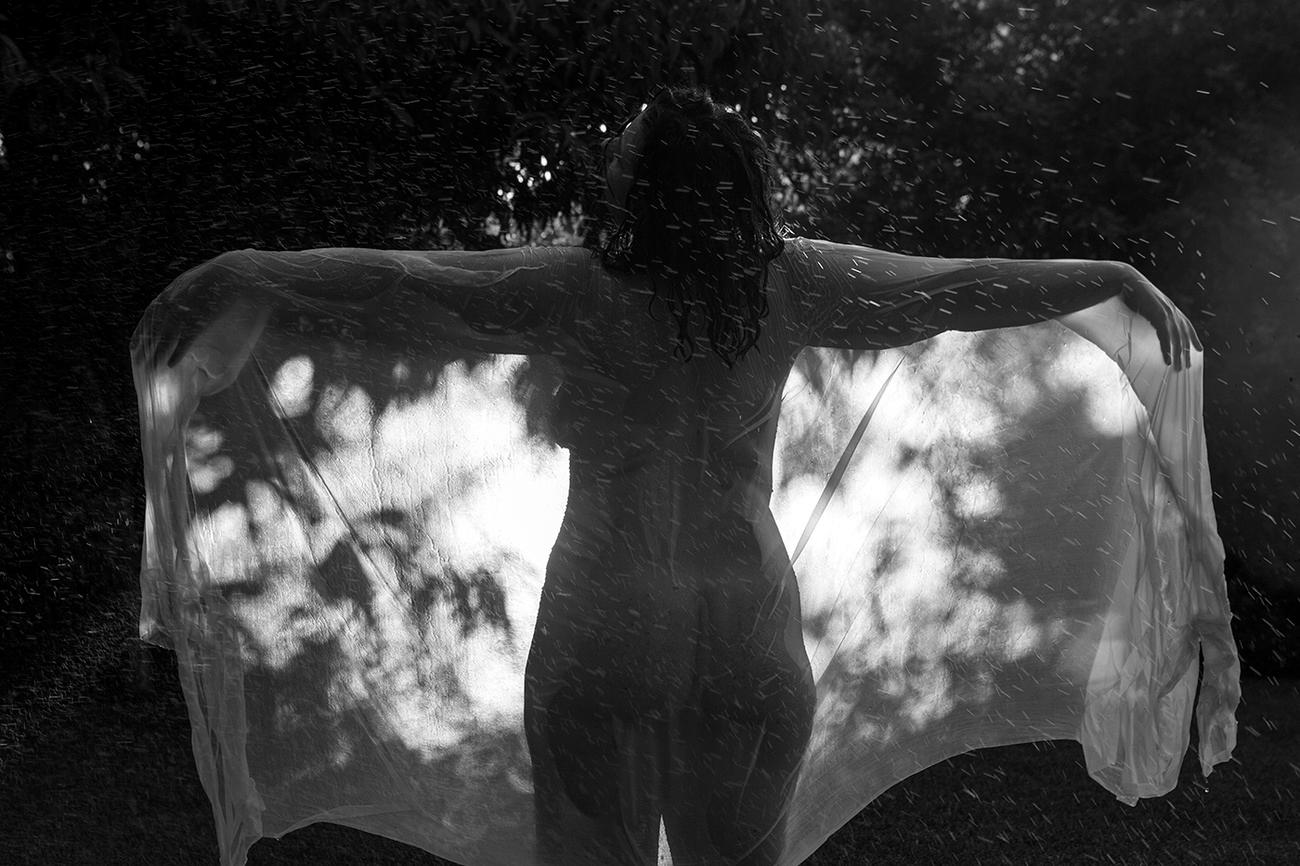 Metamorphosis