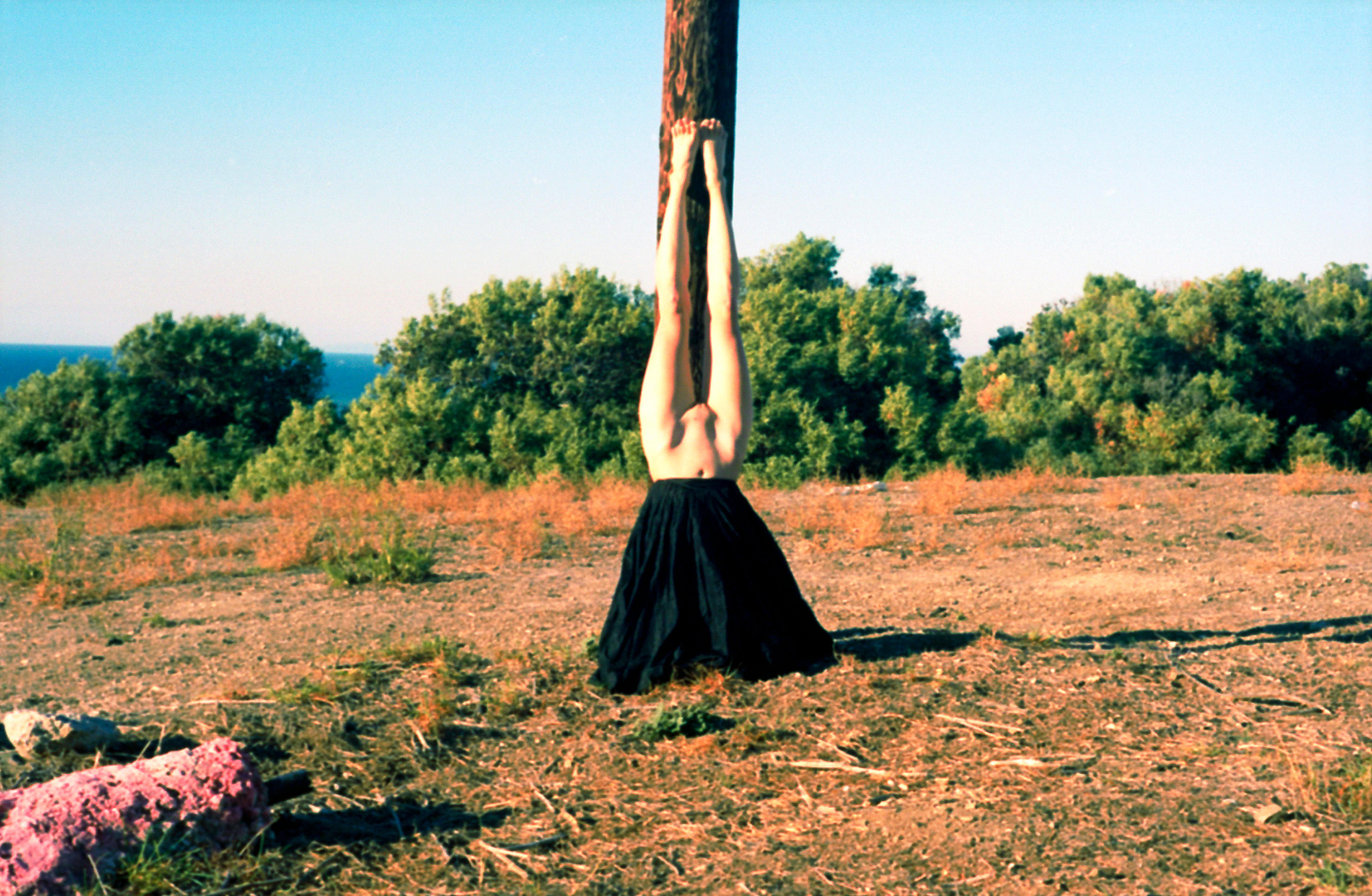 Sarah Elise Abramson Nude Photograph - Upsidedown Black Daisy