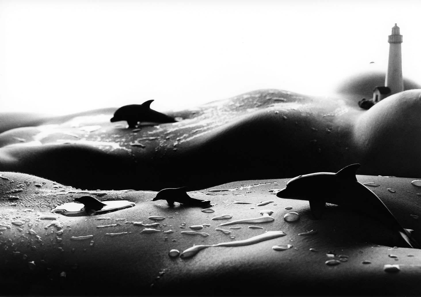 Dolphins - Photograph by Allan Teger