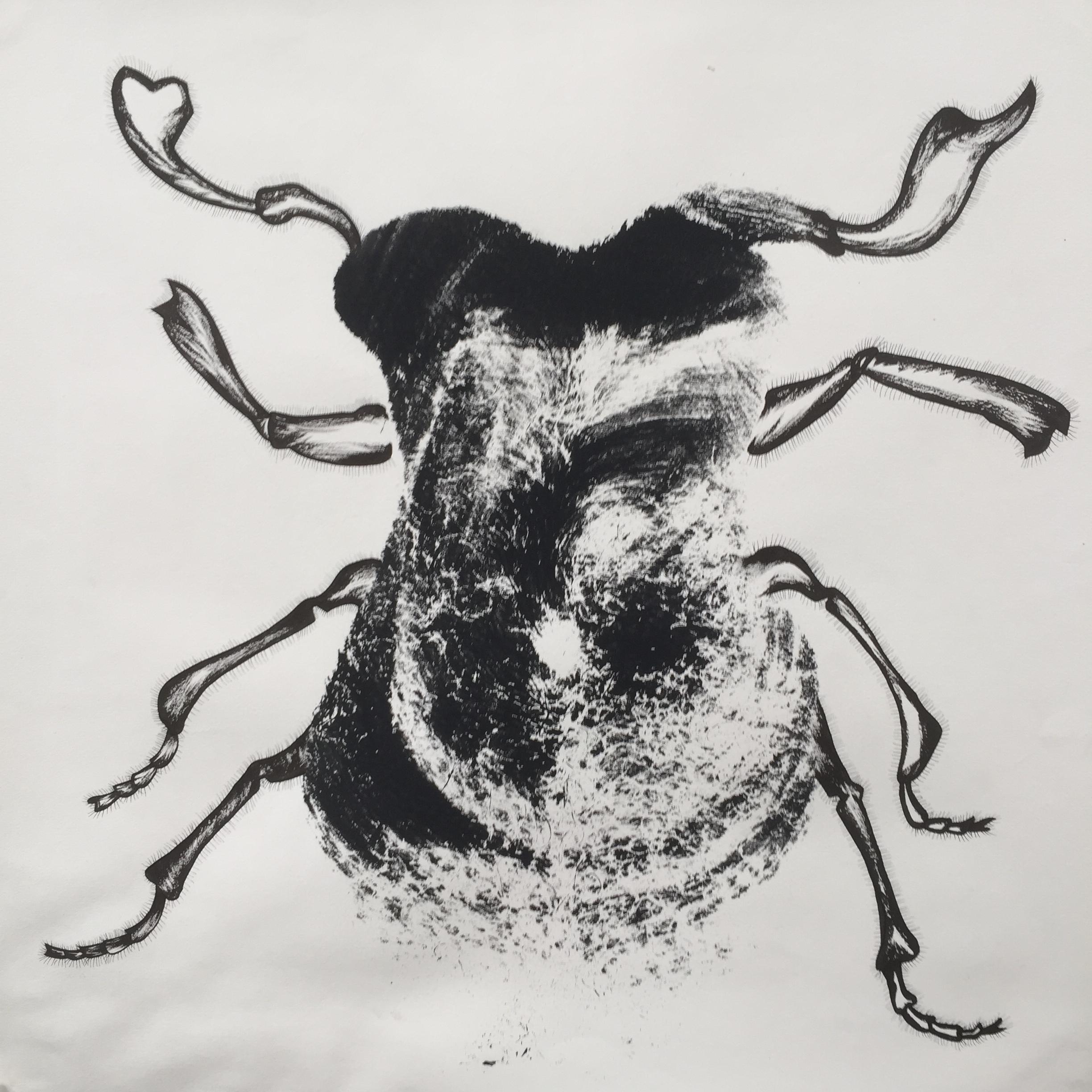 Jim Holyoak Animal Art - Bug (Pine Beetle)