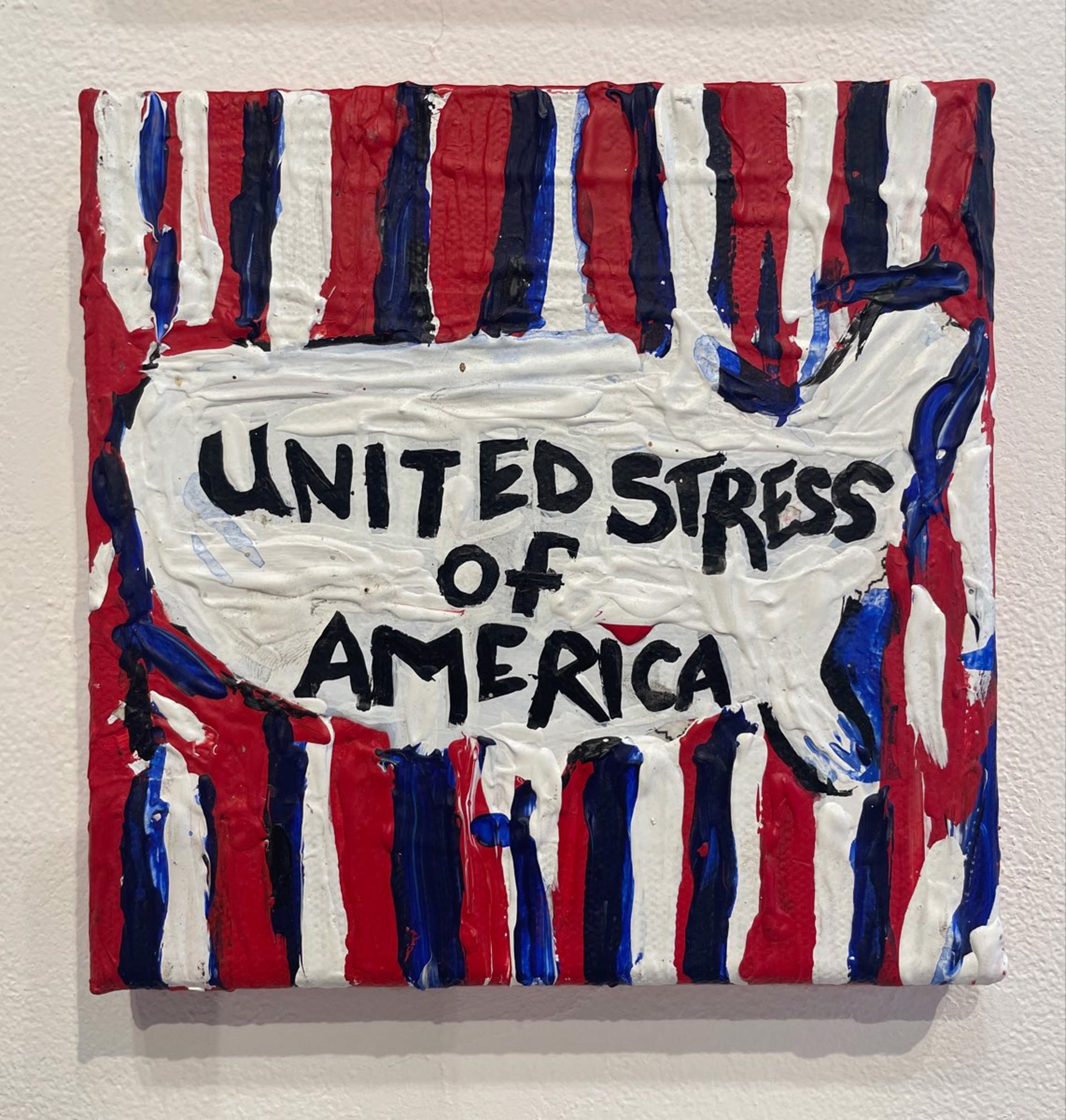Linda Smith Figurative Painting - United Stress of America 4, 2017