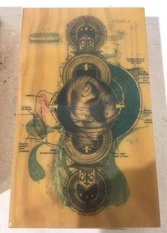 How Humans Sense the World (Hear)