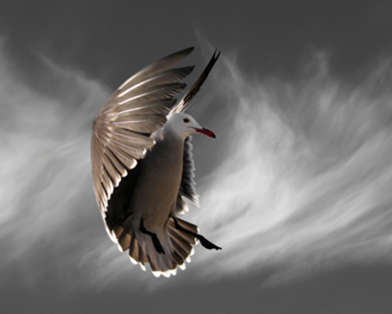 Hover mit Cirrus-Wolken – Photograph von Susie Loucks