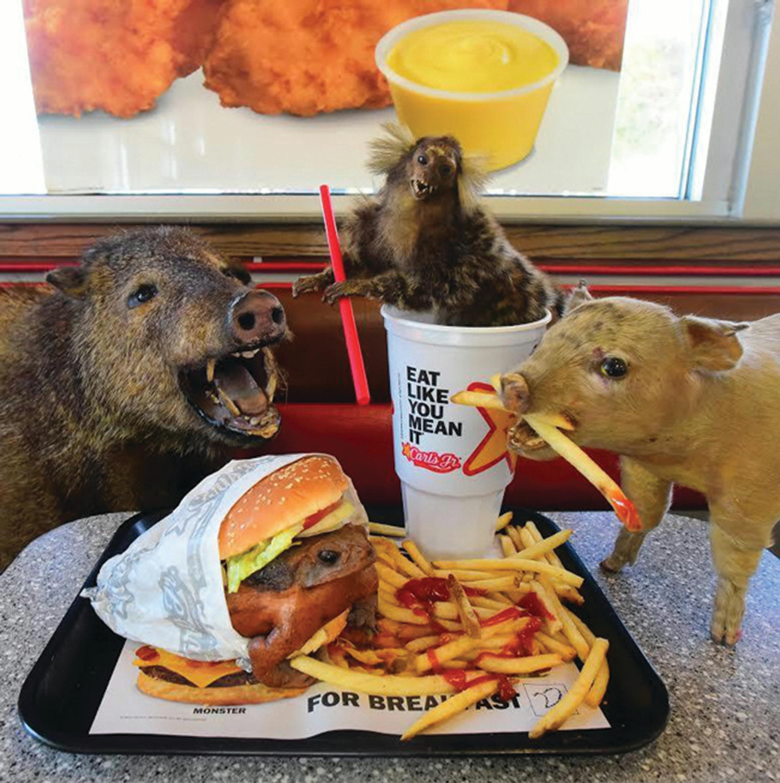 Mangia come se lo volessi/Carl's Jr.