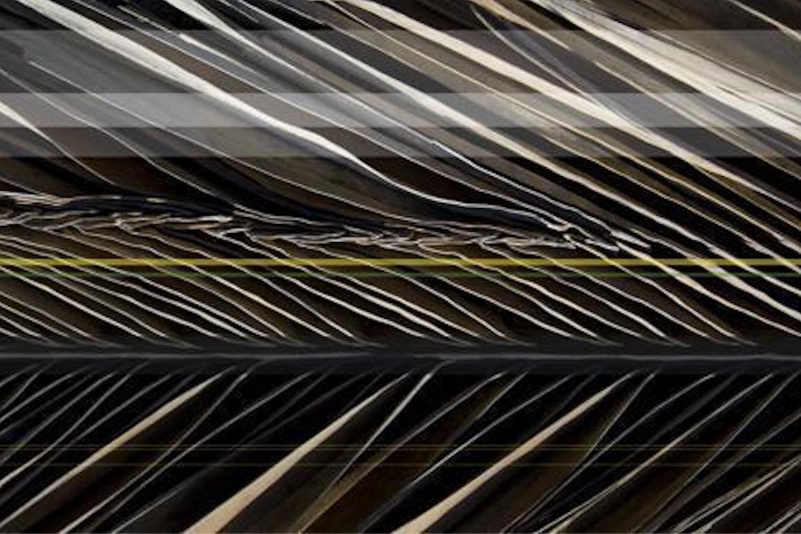 Standard-Fault Line – Photograph von Susie Loucks
