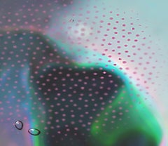 Navegar a la luz de la luna