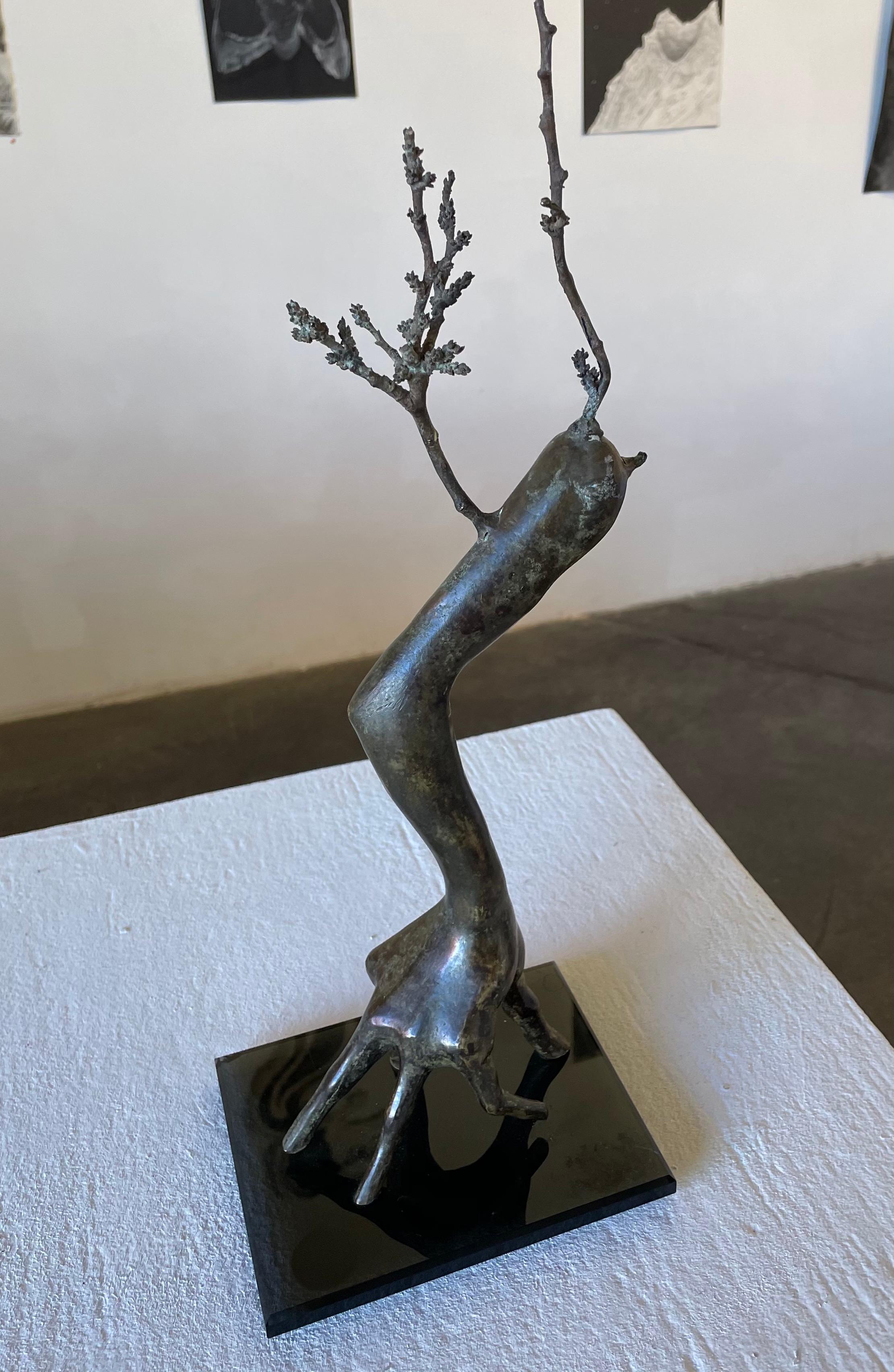 Schritt mit Fingern (Zeitgenössisch), Sculpture, von Karen Baghdasaryan “sharzhy”