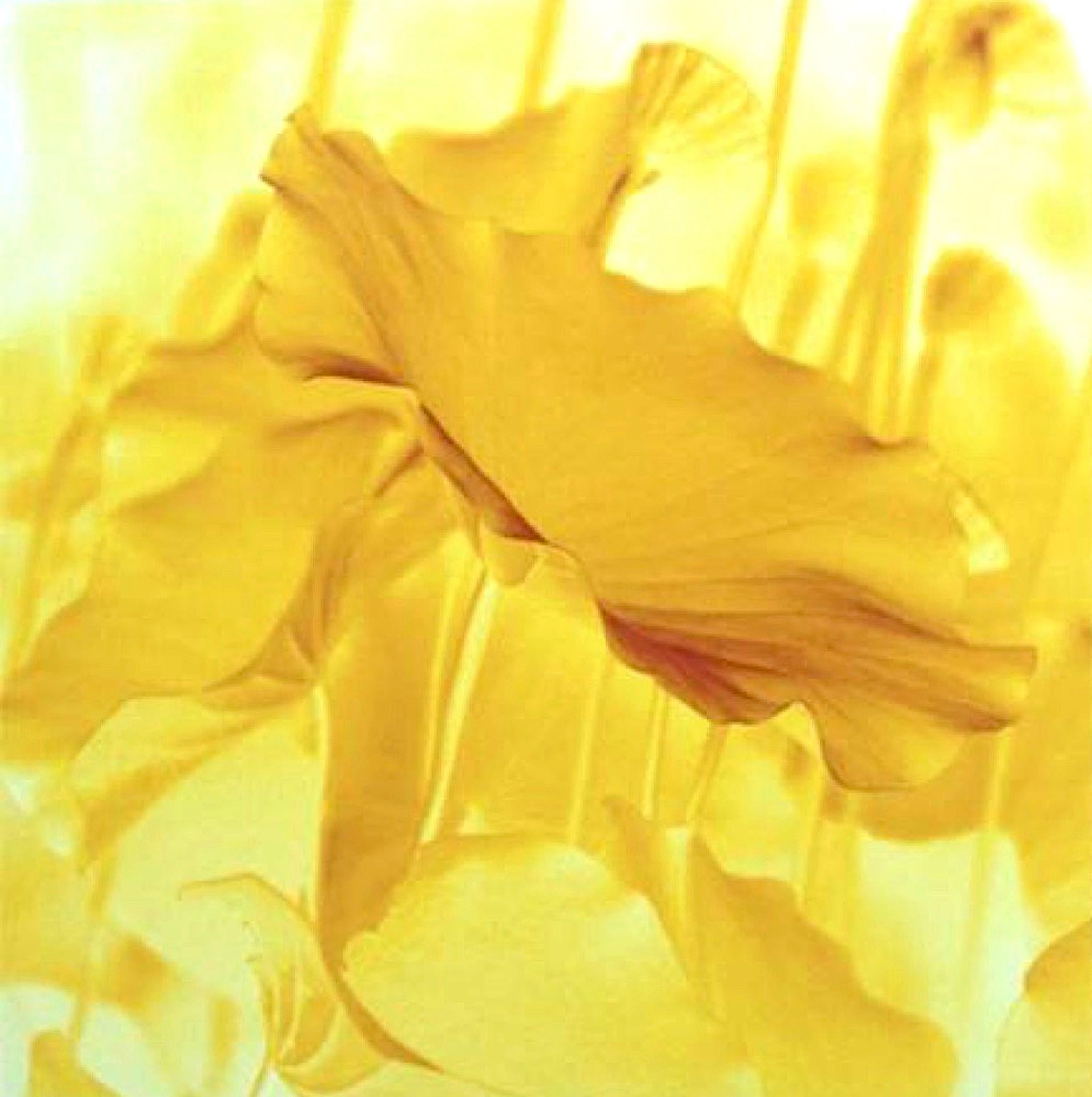 Variation non décrite n° 7 ; variation du feu de refroidissement/réfection indiquée - Contemporain Art par Chung-Ping Cheng