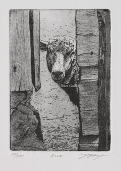 Ewe by David A.Hunt