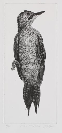 Green Woodpecker by David A. Hunt