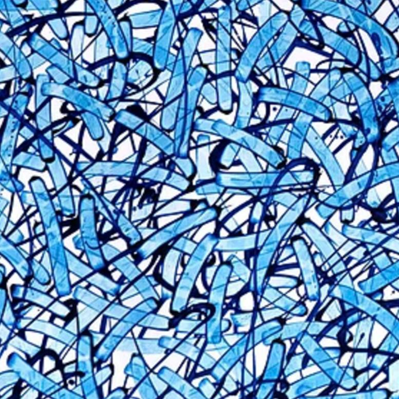 Beginning of the stop 16 is a vibrant contemporary abstract expressionist art by South Korean artist, Seungyoon Choi. It is a large oil painting on canvas with a strong blue and white color aesthetic and expressive brush strokes. A dynamic artwork