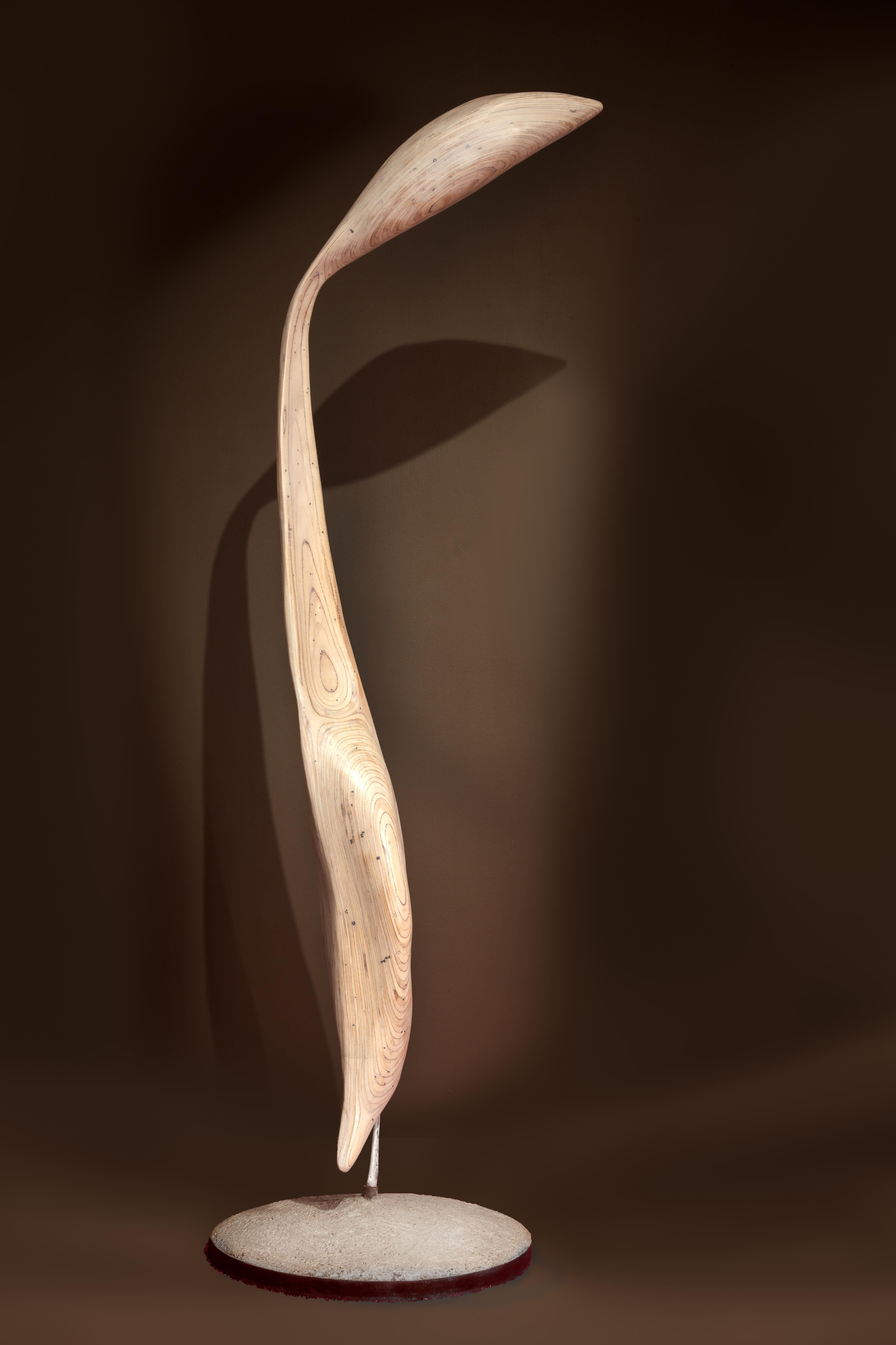 Grúa (señuelo)