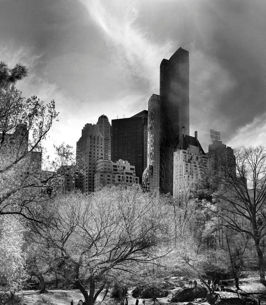 Central Park, New York City Black and White Photograph - Gray Landscape Photograph by Jeff Chien-Hsing Liao
