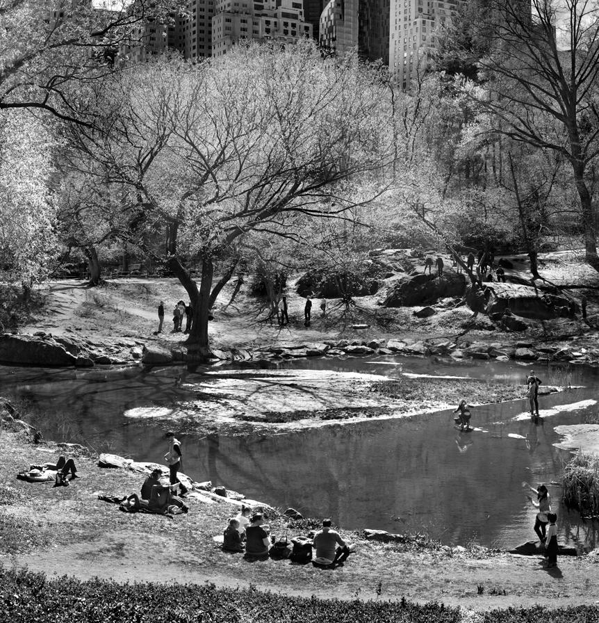 Jeff Chien-Hsing Liao
Beginning of Spring, 2015
Archival Pigment Print
40 x 24 inches
Edition of 9

This photograph is from Liao's series, Central Park New York - 24 Solar Terms.  The title of the series takes its name from the ancient Chinese lunar