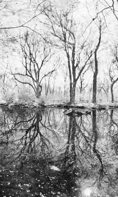 Central Park, New York City Black and White Photograph, Pond and Trees