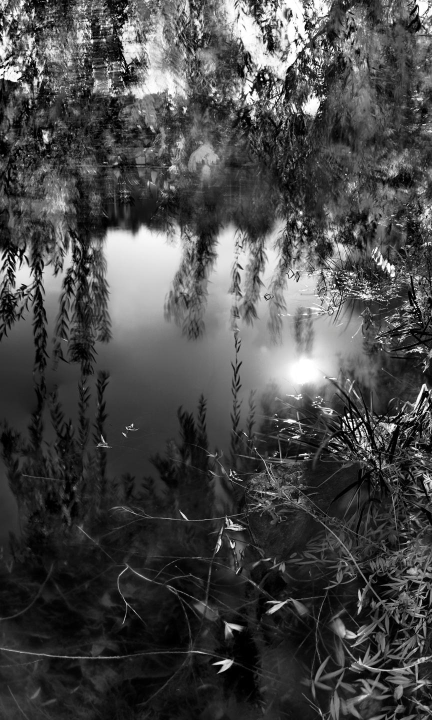 Jeff Chien-Hsing Liao Landscape Photograph - Central Park, New York City Black and White Photograph, Pond and Weeping Willow