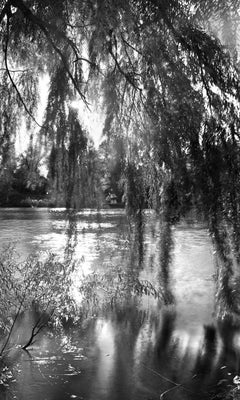 Central Park, New York City Black and White Photograph, Pond and Willows