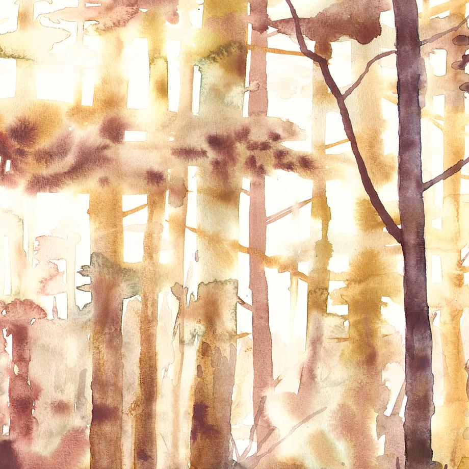 Szilard Huszank, Landscape, forest, woods, watercolor, colorful,  For Sale 2