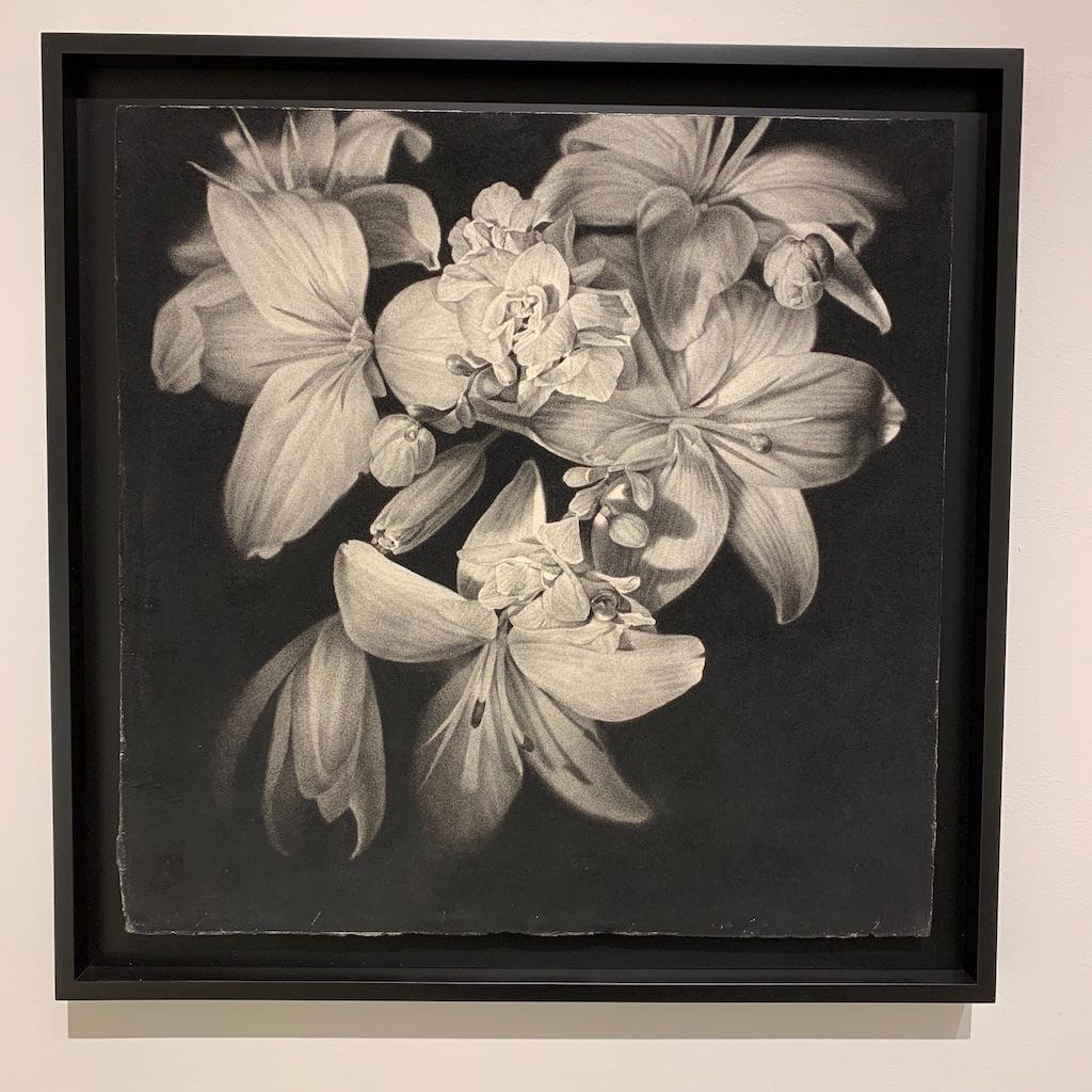 Joseph Stashkevetch conte drawing, 'White Flowers #2', on rag paper, framed For Sale 1