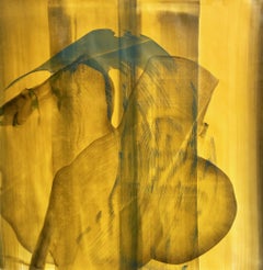 The crow 21 century, modern, abstract, calligraphy