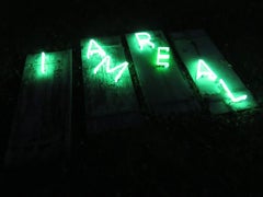 I AM REAL, 21st century, modern, neon lights, controllers