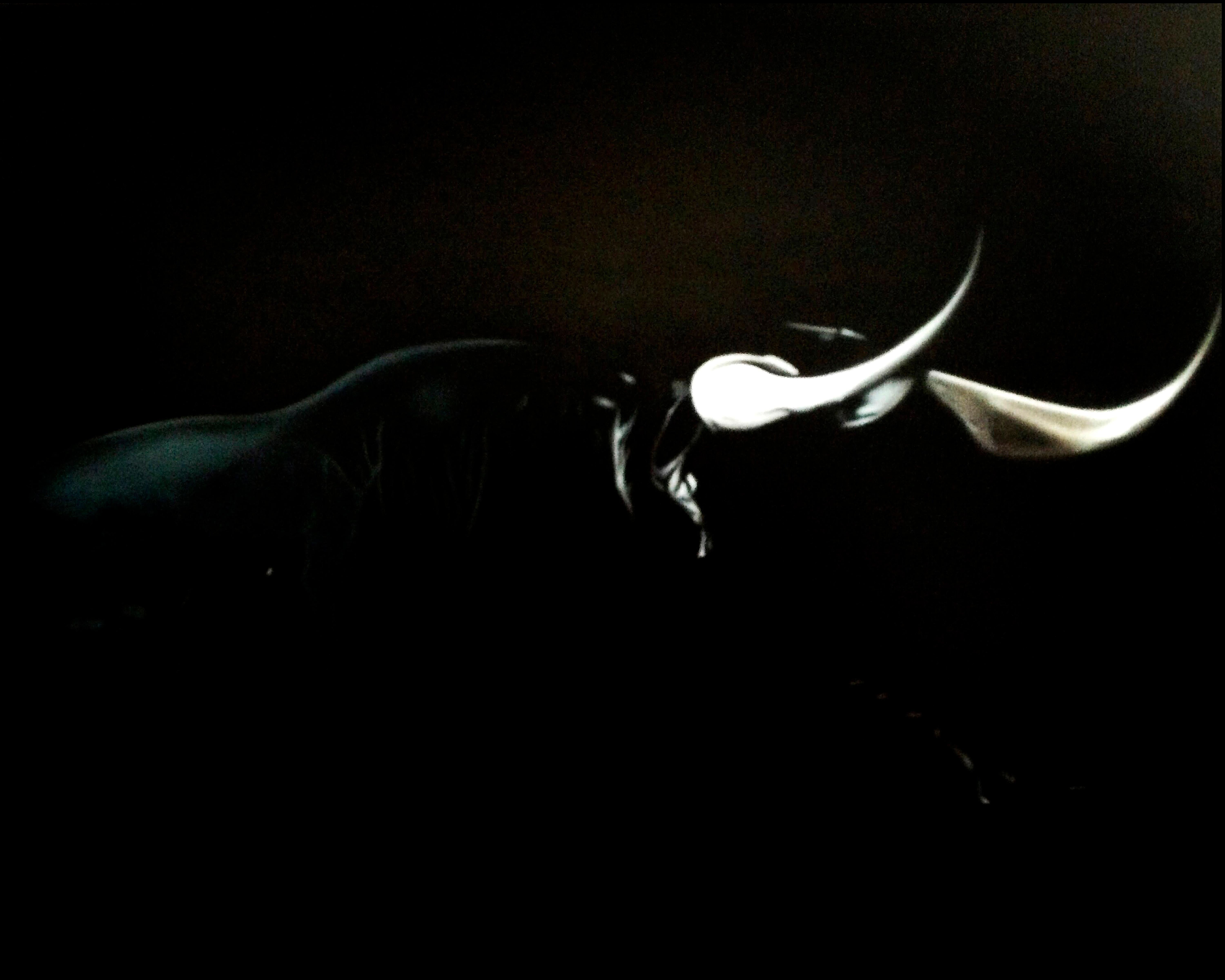 Sergio Padilla Figurative Painting - Reventon, 21st century, modern, hyperrealism, torrero, bull