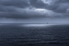 Free as a Bird, Iceland, from the series "Grey Matter(s), 2015, 123 x 175 cm
