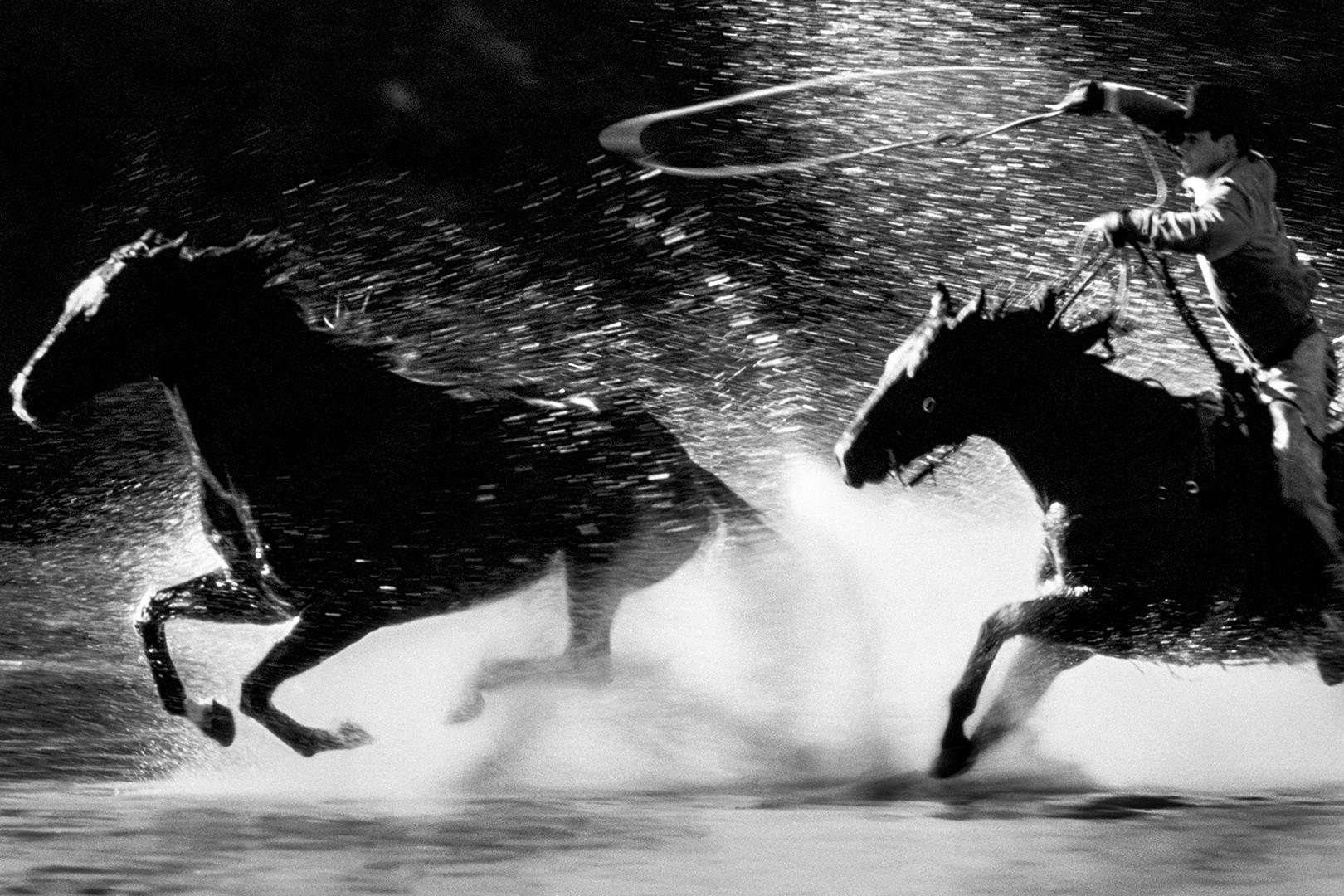 the horse in motion black man