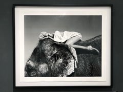 Untitled, India - White Story, Fashion Photography, Wildlife Photography