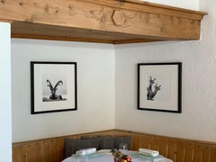 Capra Ibex 5, Switzerland, Animal Black and White Photography