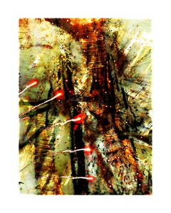 Explosure, #08 by Tom 
Lois White, archival pigment print, 40x52in