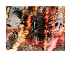 Explosure, #11 by Tom 
Lois White, archival pigment print, 52x40in