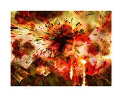 Explosure, #12 by Tom 
Lois White, archival pigment print, 52x40in