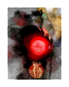 Explosure, #17 by Tom & Lois White, archival pigment print, 40x52in
