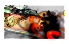 Explosure, #40 by Tom 
Lois White, archival pigment print, 57x34in