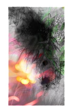 Explosure, #45 by Tom & Lois White, archival pigment print, 34x57in