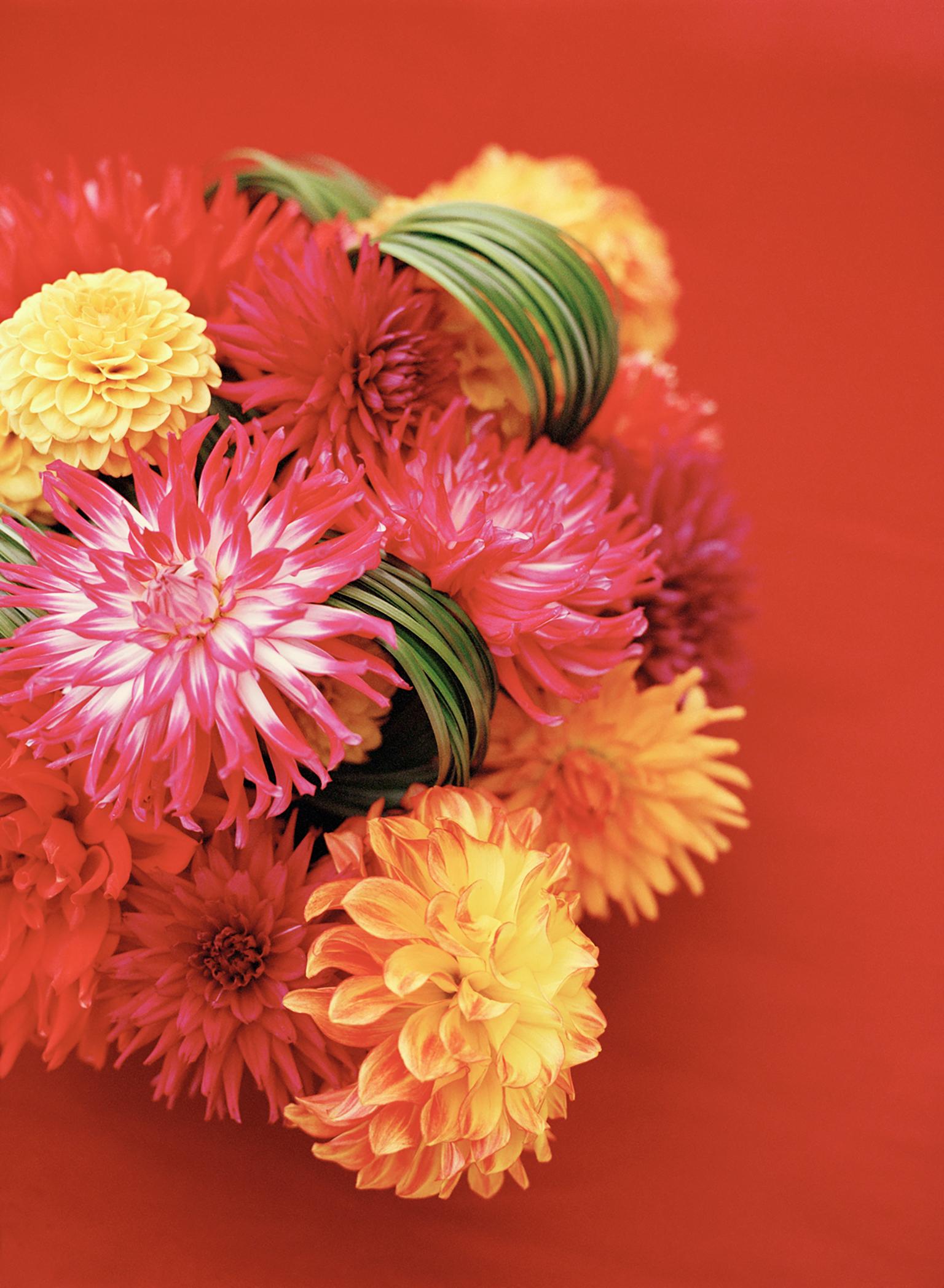 Caren Alpert still life photograph of a Japanese wedding bouquet filled with red and yellow chrysanthemum flowers. "Japanese Wedding Bouquet" is printed on archival, full color photographic paper. This size is 11” x 14”. Available in three sizes