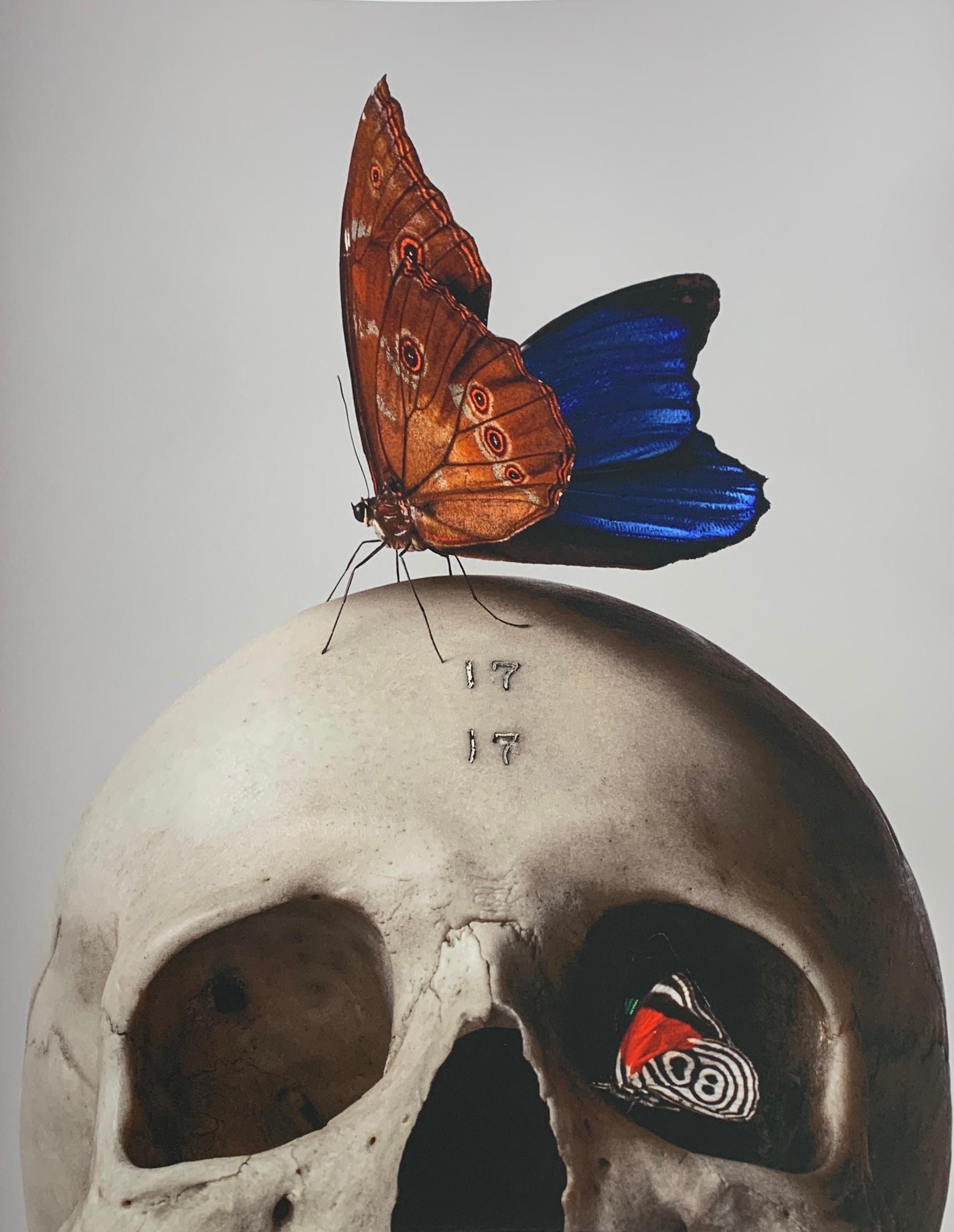 "Skull & Butterfly" beautifully blends striking colors with the contrast between a human skull and a taxidermied Blue Morpho Menalaus butterfly.  The photograph exhibits stunning detail and color throughout and is a conversation starter in any home