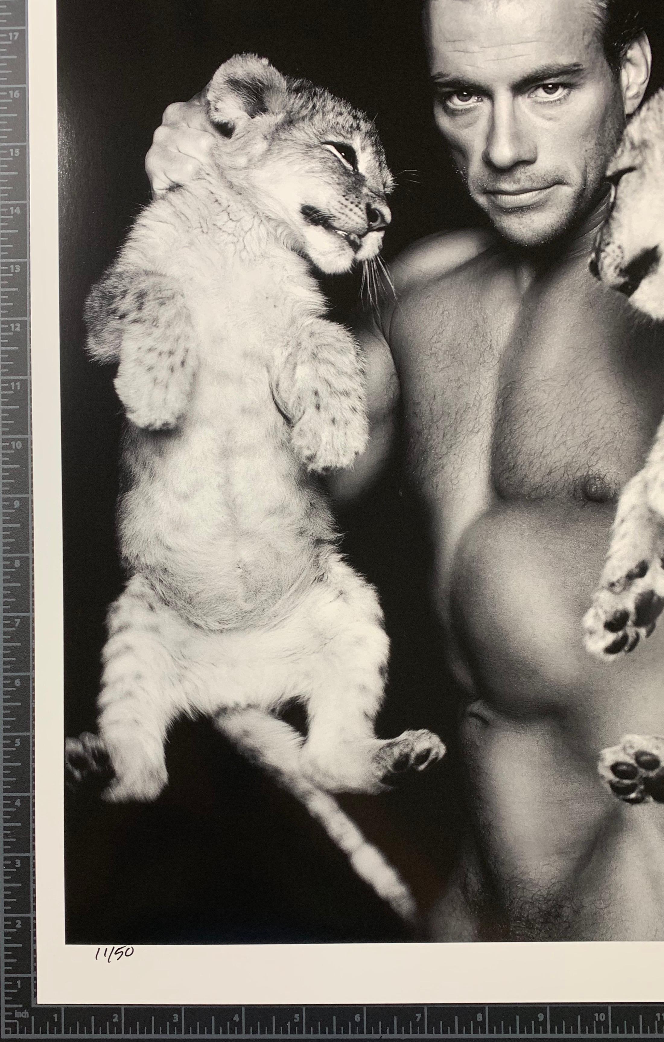 (Pictures of Actual Images) New release fine art photograph featuring Jean-Claude Van Damme holding two lion cubs during a photo shoot in 1998 in South Africa for his hit movie 