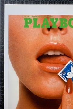 Lenna Sjooblom Vintage Playboy Cover Artwork April 1973 by Don Azuma