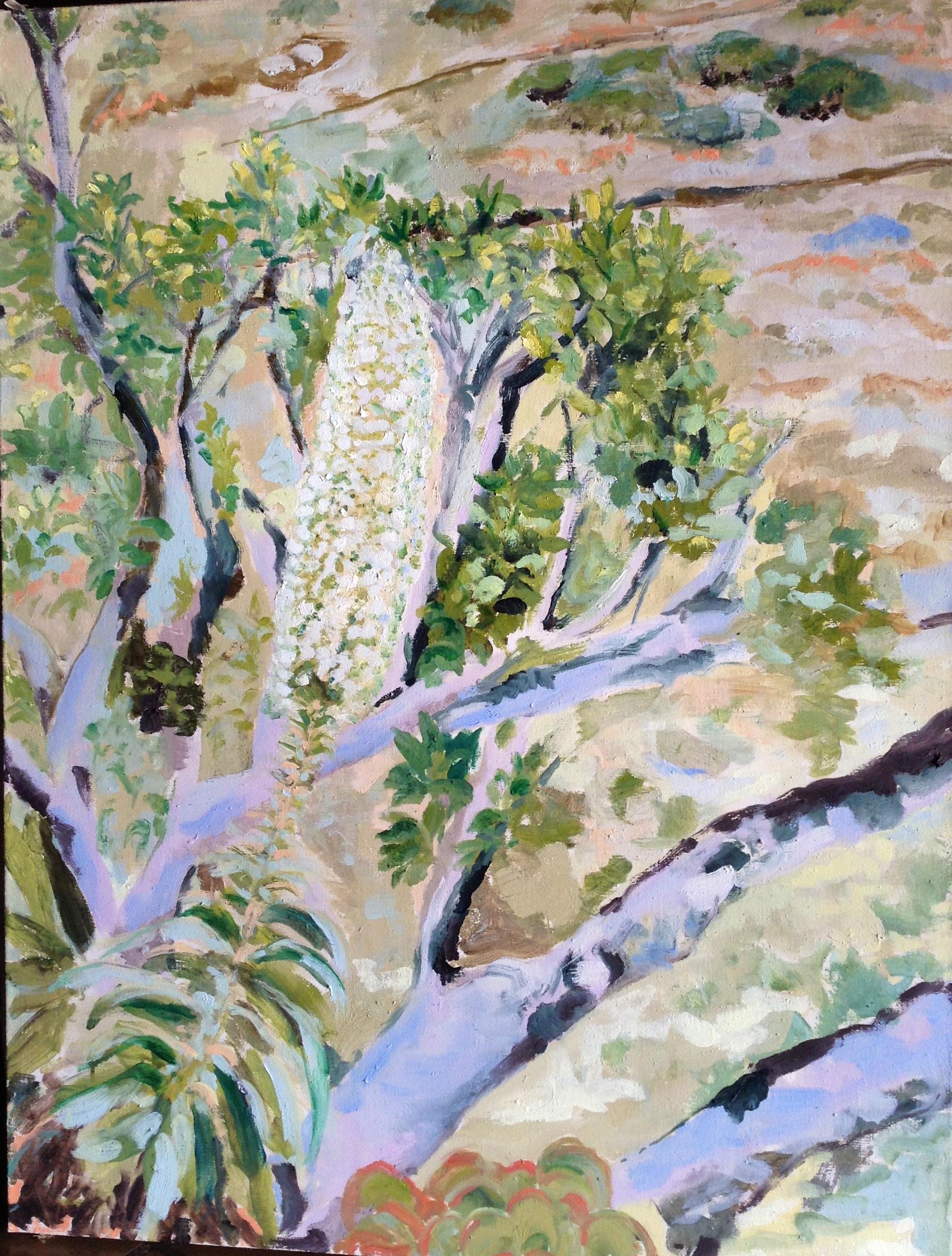 Gianne de Genevraye Landscape Painting -  White Echium Contemporary Oil  Laguna California Landscape, Ochre, Green 