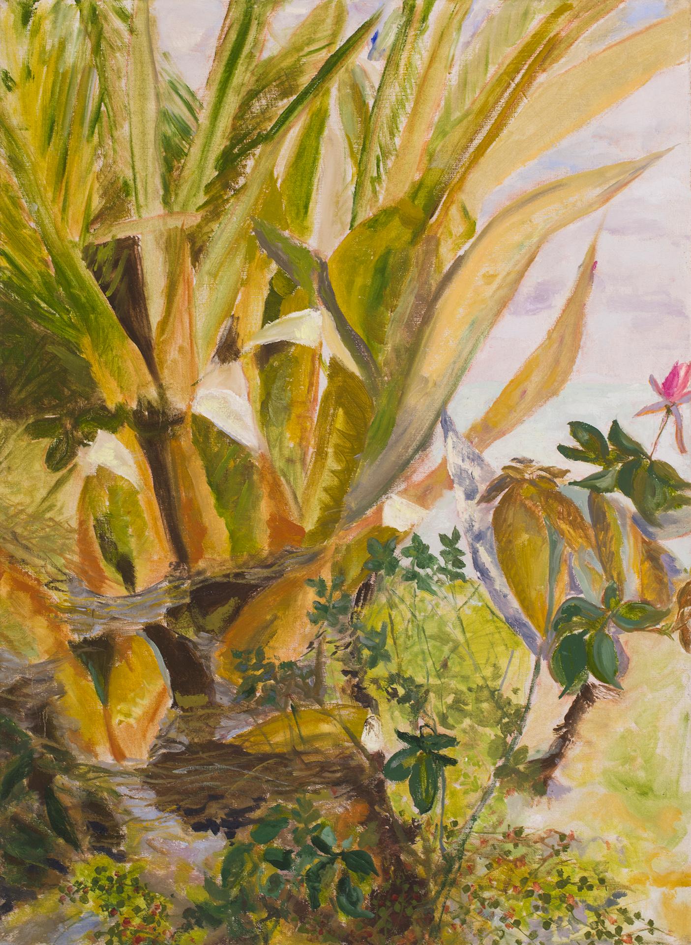 Contemporary Plant Oil Painting: ochre, warm green palm, rose, sea. St Ives, UK
 
I was in St. Ives in Cornwall, England for a short painting residency in the month of November 2015. The colors of warm yellows, ochres and sage greens reflect the